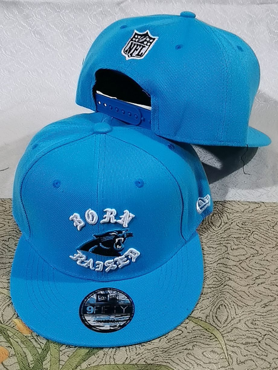 2025 NFL Carolina Panthers Hat YS2025410->nfl hats->Sports Caps